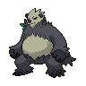 Dark Pangoro